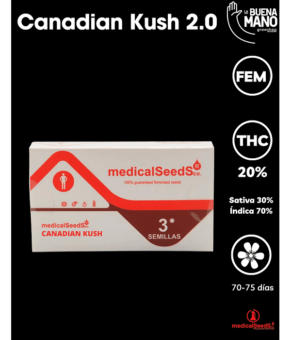 Canadian Kush 2.0 Fem (3u)