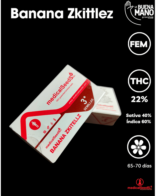 Banana Zkittlez Fem (3u)