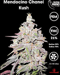 Mendocino Chanel Kush Fem (3u)