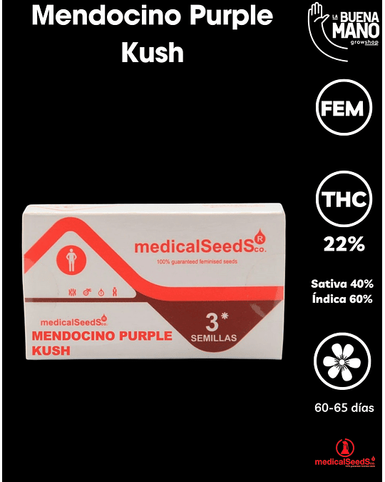 Mendocino Purple Kush Fem (3u)