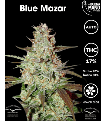 Blue Mazar Auto (3u)