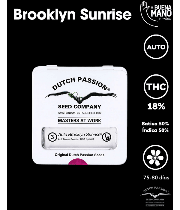 Brooklyn Sunrise Auto (3u)