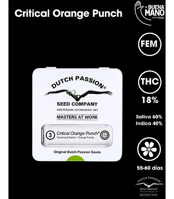 Critical Orange Punch Fem (3u)