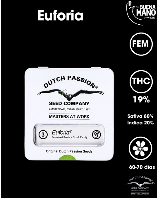 Euforia Fem (3u)
