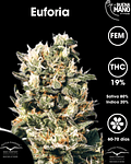 Euforia Fem (3u)