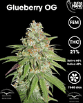 Glueberry OG Fem (3u)