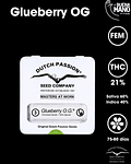 Glueberry OG Fem (3u)