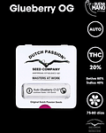 Glueberry OG Auto (3u)
