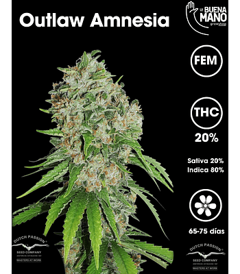Outlaw Amnesia Fem (3u)