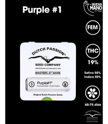 Purple #1 Fem (3u)