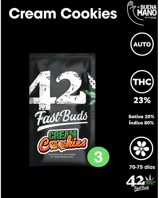 Cream Cookies Auto (3u)