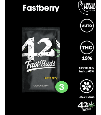 Fastberry Auto (3u)