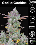 Gorilla Cookies Auto (3u)