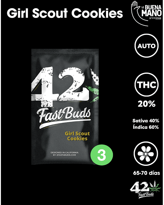 Girl Scout Cookies Auto (3u)