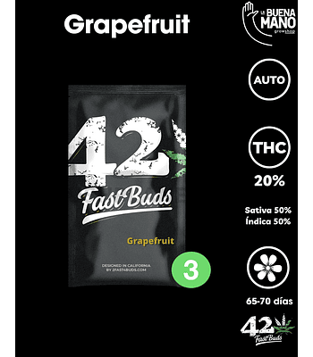 Grapefruit Auto (3u)