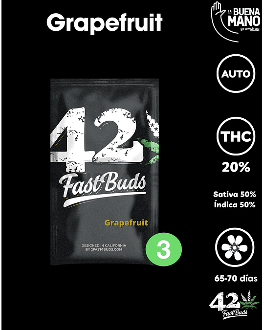 Grapefruit Auto (3u)