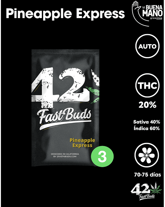 Pineapple Express Auto (3u)