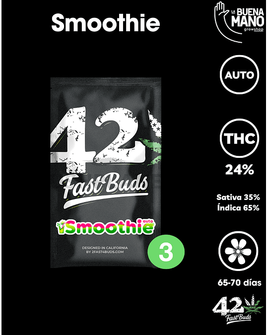 Smoothie Auto (3u)