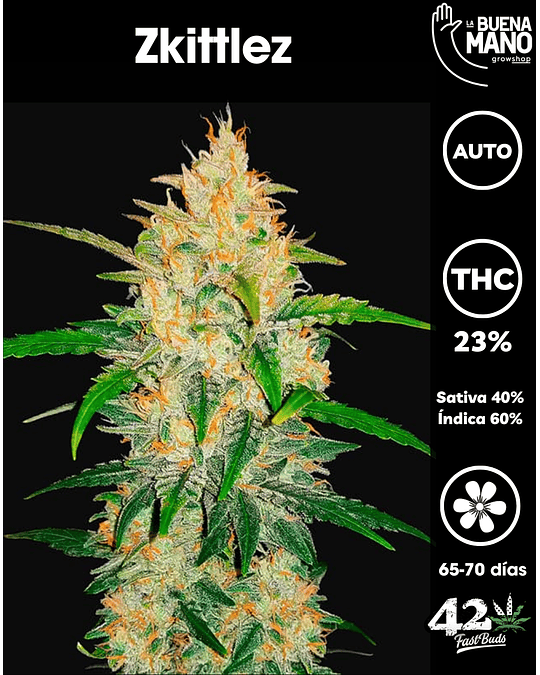 Zkittlez Auto (3u)