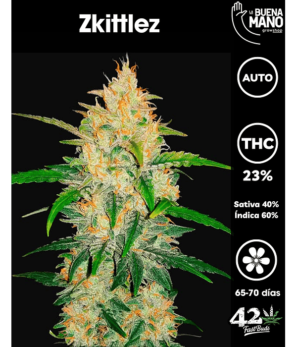 Zkittlez Auto (3u)