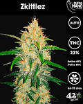 Zkittlez Auto (3u)