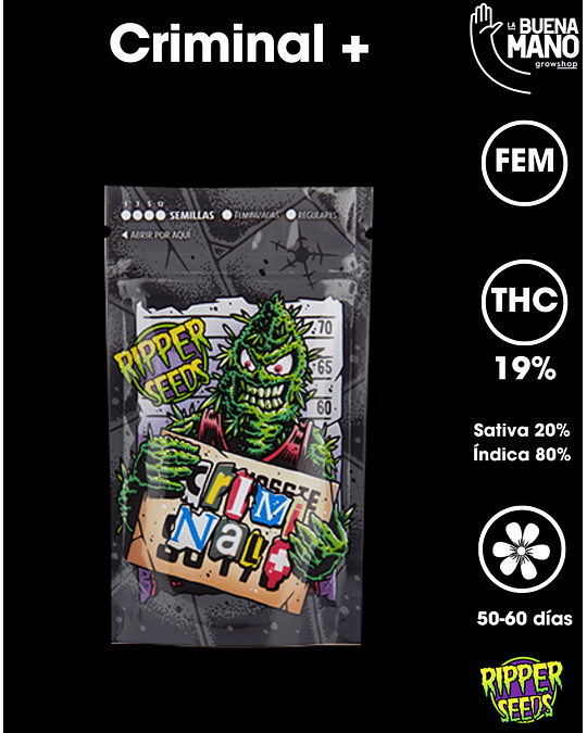 Criminal + Fem (3u)