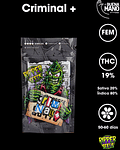 Criminal + Fem (3u)