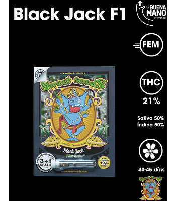 Black Jack F1 Fem (3+1 u)