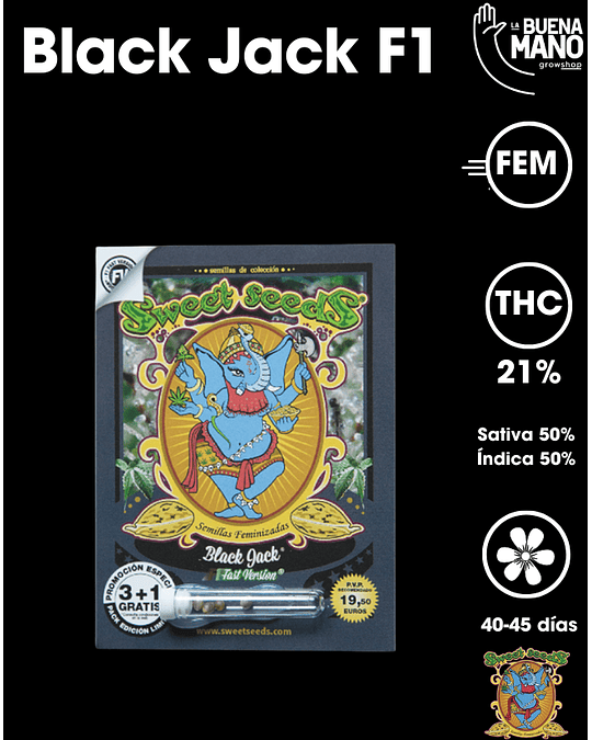 Black Jack F1 Fem (3+1 u)