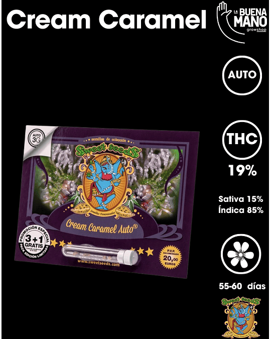Cream Caramel Auto (3+1 u)