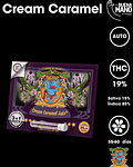 Cream Caramel Auto (3+1 u)