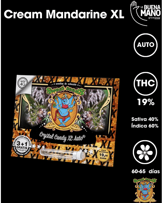 Crystal Candy XL Auto (3+1 u)