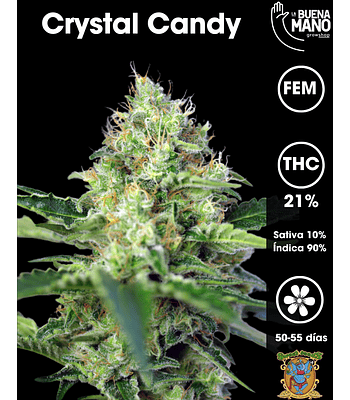 Crystal Candy Fem (3+1 u)