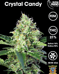 Crystal Candy Fem (3+1 u)