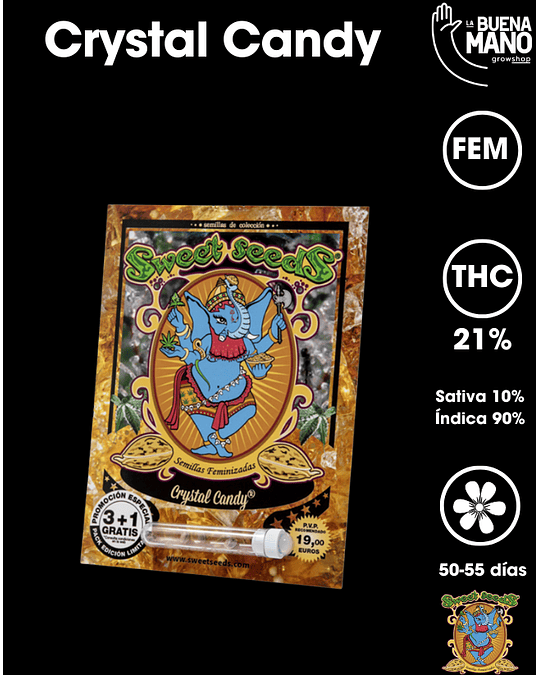 Crystal Candy Fem (3+1 u)