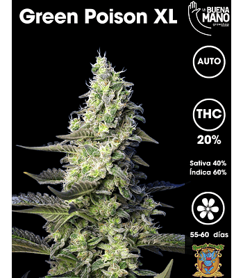 Green Poison XL Auto (3+1 u)