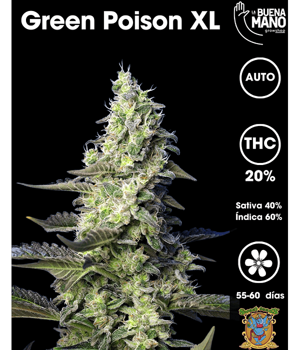 Green Poison XL Auto (3+1 u)