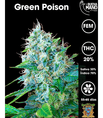 Green Poison Fem (3+1 u)