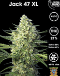 Jack 47 XL Auto (3+1 u)