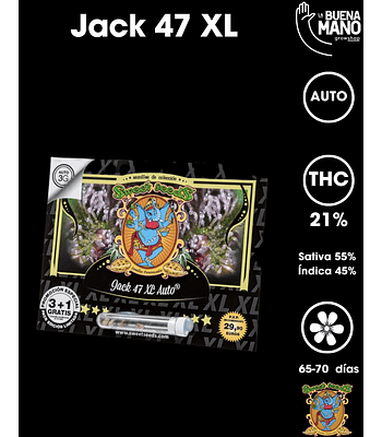Jack 47 XL Auto (3+1 u)