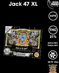 Jack 47 XL Auto (3+1 u)