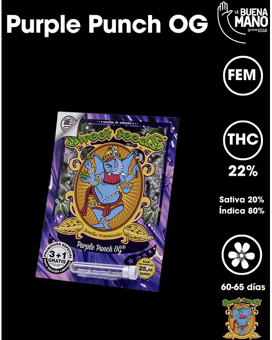 Purple Punch OG Fem (3+1 u)