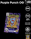 Purple Punch OG Fem (3+1 u)