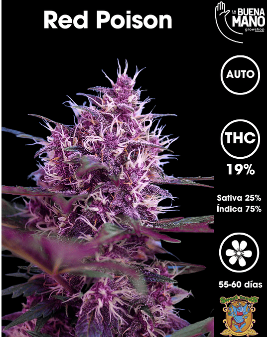 Red Poison Auto  (3+1 u)