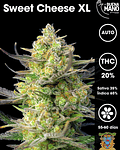 Sweet Cheese XL Auto (3+1 u)
