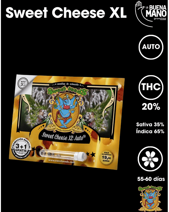 Sweet Cheese XL Auto (3+1 u)