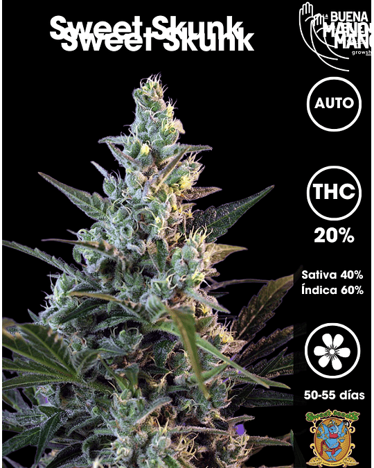 Sweet Skunk Auto (3+1 u) 