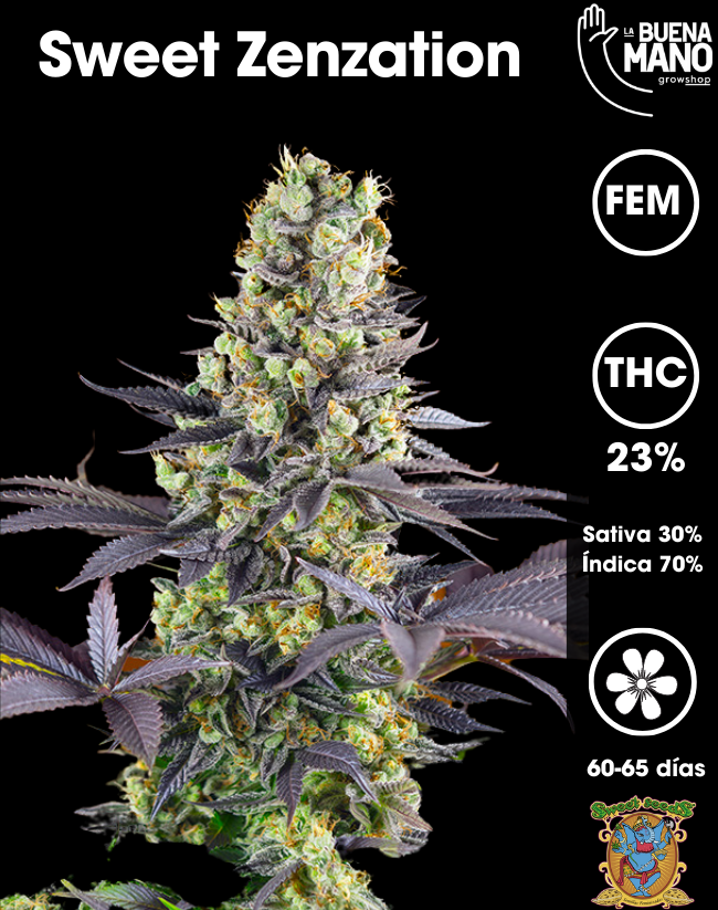 La Buena Mano Store - Growshop Online Chile. Venta de Semillas de