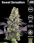 Sweet Zenzation Fem (3+1 u)