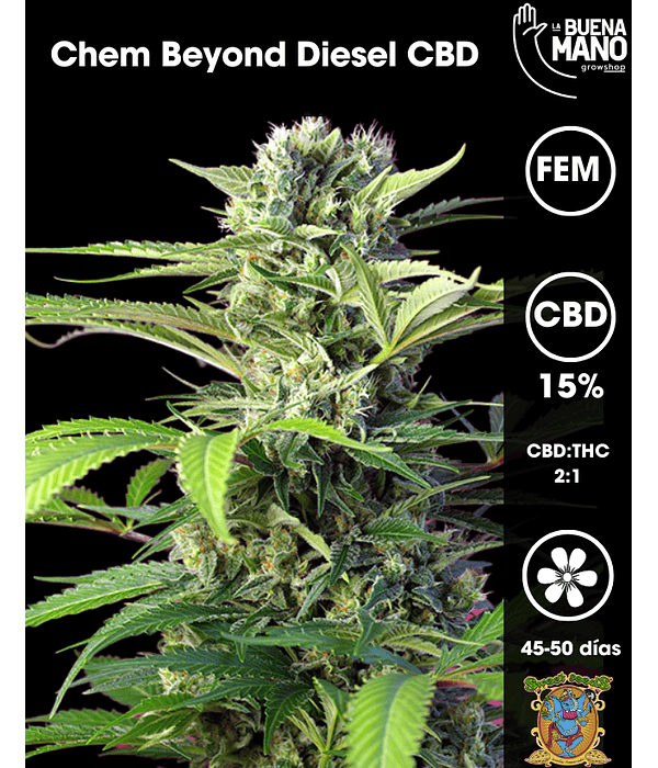Chem Beyond Diesel CBD Fem (3+1 u)